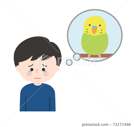 A boy (bird / parakeet) who remembers his pet and mourns 73271486