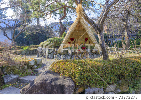 石小寺冷牡丹 石小寺冷牡丹 73272275