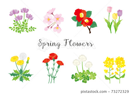 Spring flower illustration material set 73272329
