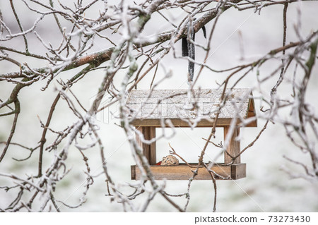 Close up of bird feeder in the tree branches with full of birdseed during winter time Close up of bird feeder in the tree branches with full of birdseed during winter time 73273430
