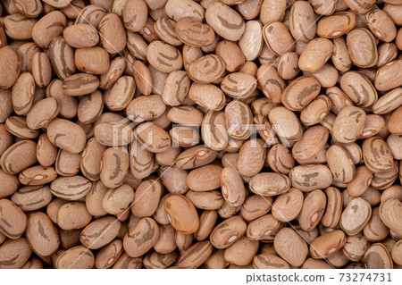 a variety of common bean a variety of common bean 73274731