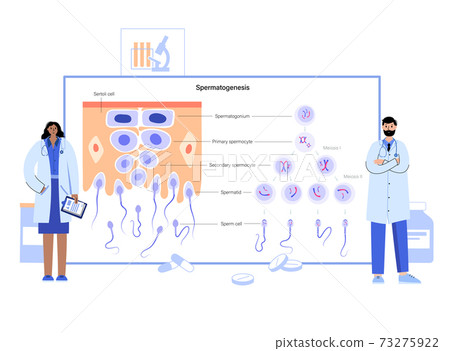 Mitosis process concept Mitosis process concept 73275922