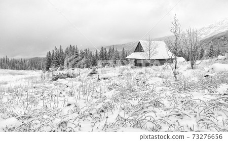 Gasienicowa Valley with wooden hut during snowy winter, Tatra Mountains, Poland. 73276656