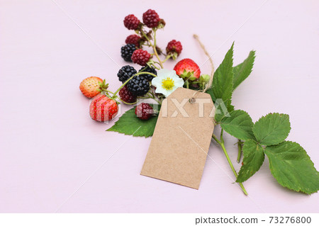 Summer floral and fruit still life composition. Closeup of blank gift tag, label mock-up scene. Blackberries,strawberries fruit , leaves and blossom. Pink table background. Seasonal sale concept. 73276800