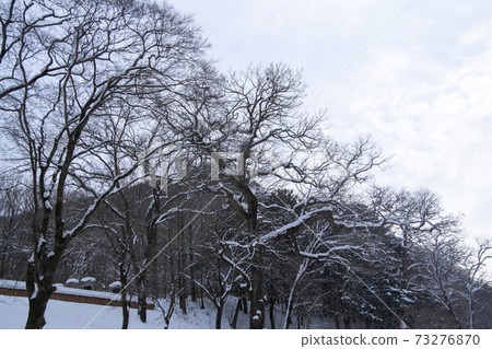 Baekyangsa寺，Baekam山，Changseong縣，全南 73276870