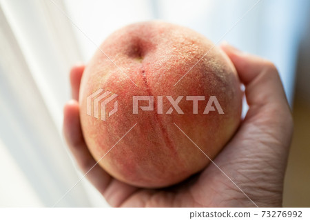 桃子 73276992