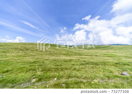 Summer Mikahara Plateau 73277108