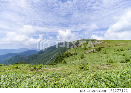 Summer Mikahara Plateau 73277131