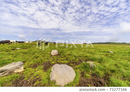 Utsukushigahara Ranch in summer 73277166