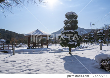 Baekam Mountain, Changseong County, Jeonnam Baekam Mountain, Changseong County, Jeonnam 73277285
