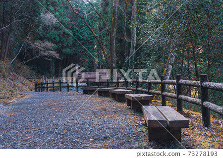 東京八王子城堡遺址 73278193