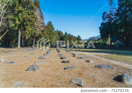 東京八王子城堡遺址 73278236