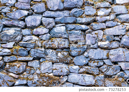 東京八王子城堡遺址 東京八王子城堡遺址 73278253