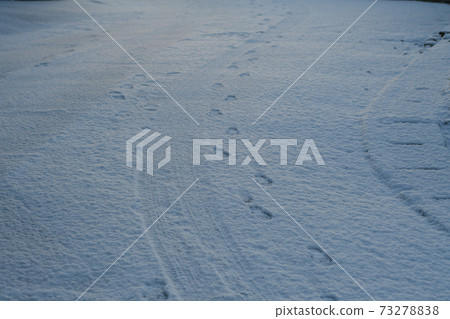 雪地上留下的輪胎痕跡和腳印 雪地上留下的輪胎痕跡和腳印 73278838
