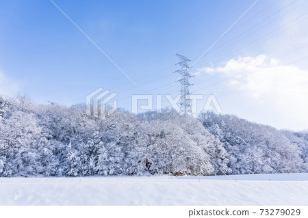 Transmission tower on a snowy day 73279029