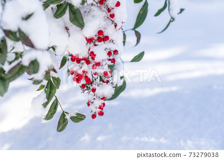 與雪的南部的天空 與雪的南部的天空 73279038