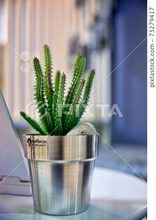 Flower pots on the table Flower pots on the table 73279417