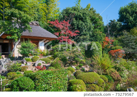 Kyoto Tojiin Tea Room and Garden Autumn Leaves 73279567