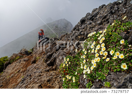 Fog Yatsugatake mountain range, Yokodake ridgeline Chonosukesou community Fog Yatsugatake mountain range, Yokodake ridgeline Chonosukesou community 73279757