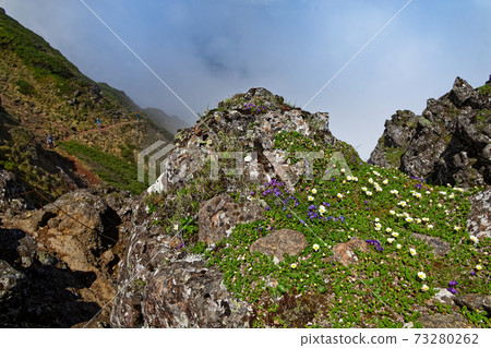 Alpine plant community on the Yatsugatake mountain range and Yokodake ridgeline in the fog 73280262