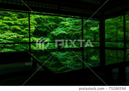 Kurama Rurikoin Kurama Rurikoin 73280598