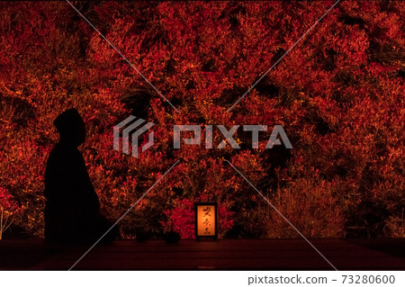 兵庫縣/安國寺 兵庫縣/安國寺 73280600
