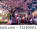京都·祗園白川 73280603