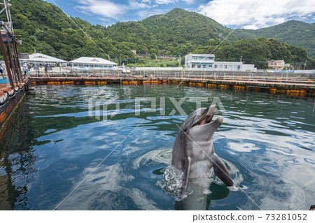 築海豚島（大分縣築海市） 73281052