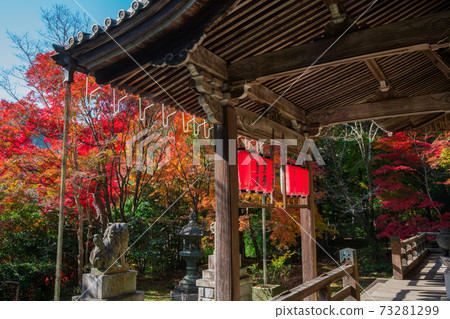 Autumn leaves of Konzoji Temple in Kyoto Autumn leaves of Konzoji Temple in Kyoto 73281299