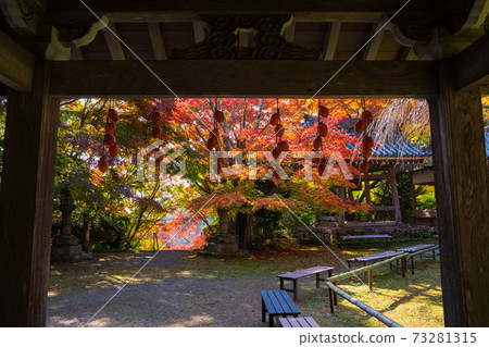 Autumn leaves of Konzoji Temple in Kyoto 73281315