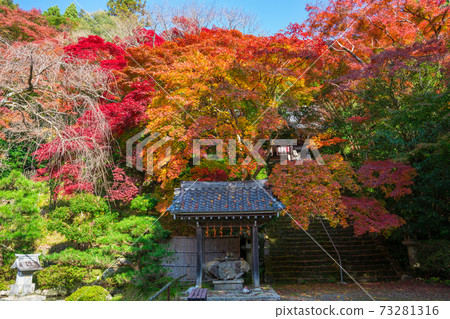 Autumn leaves of Konzoji Temple in Kyoto 73281316