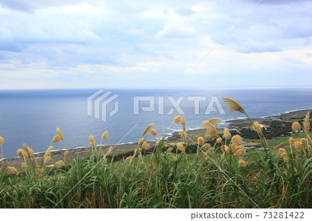 Amami Hyakunodai 73281422