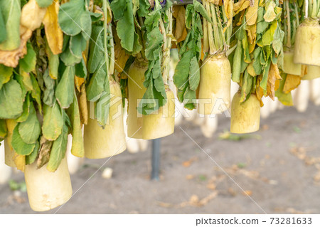 [Kanagawa Prefecture] Miura Coast Dried radish 73281633