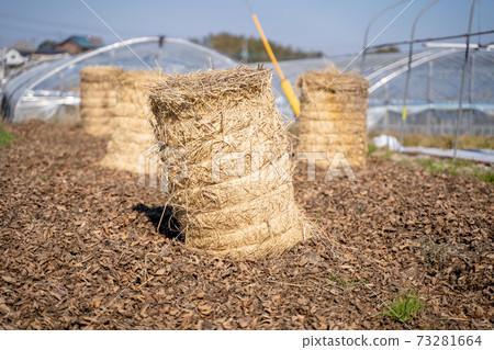 Straw bale field 73281664