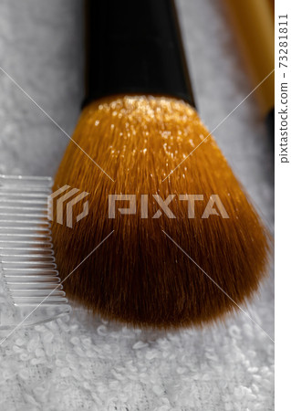 Brushes and makeup 73281811