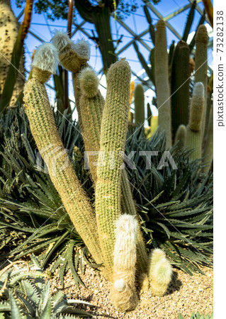 灣雲森林花園 73282138