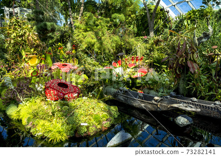 Gardens by the Bay Cloud Forest 73282141