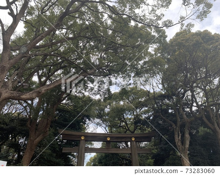 在明治神宮的鳥居前 在明治神宮的鳥居前 73283060