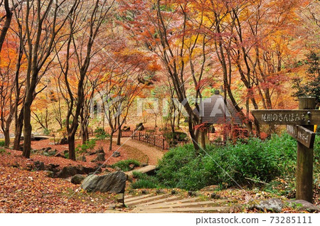 神奈川縣立七澤森林公園Seseragi Square的Sakusotei，秋葉和路標 73285111