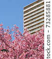 藍天，川津櫻花和公寓複製空間垂直構圖 73285881