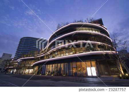 櫻花夜景 73287757