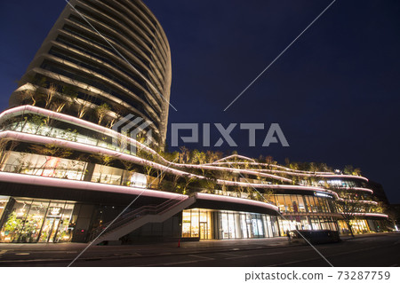 櫻花夜景 櫻花夜景 73287759