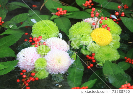 花手水 花手水 73288790