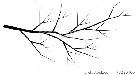Tree branch silhouette icon Tree branch silhouette icon 73289400