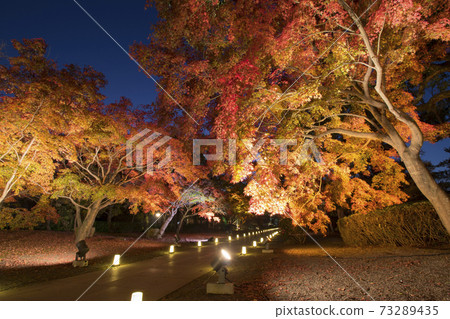 細川監獄花園秋葉的夜景 細川監獄花園秋葉的夜景 73289435