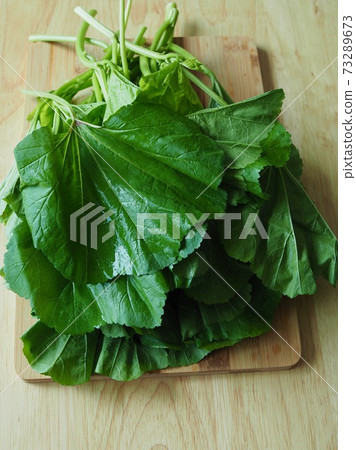 Fresh organic natural vegetables Auk 73289673