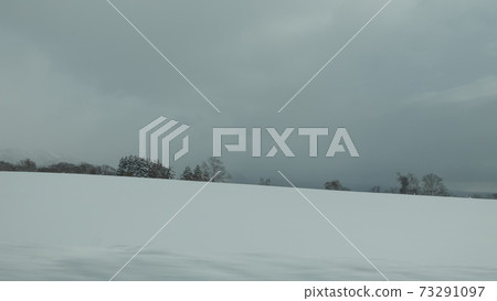 冬天雪樹森林山雪原雪山 冬天雪樹森林山雪原雪山 73291097