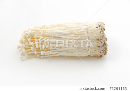 Enoki 73291183