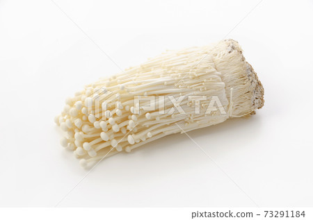 Enoki 73291184