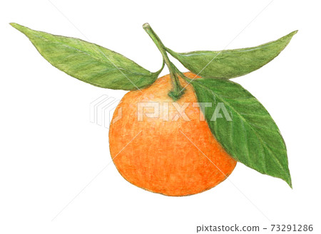 葉子的Mikan，水彩顏色empitsu繪畫 73291286